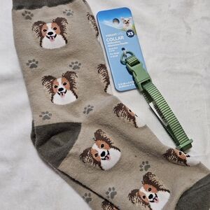 Chihuahua Dog Print Socks and XS Green Collar Set